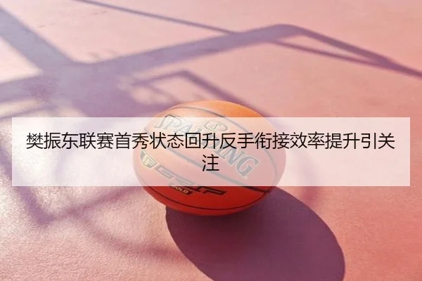 樊振东联赛首秀状态回升反手衔接效率提升引关注