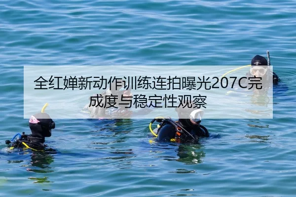 全红婵新动作训练连拍曝光207C完成度与稳定性观察